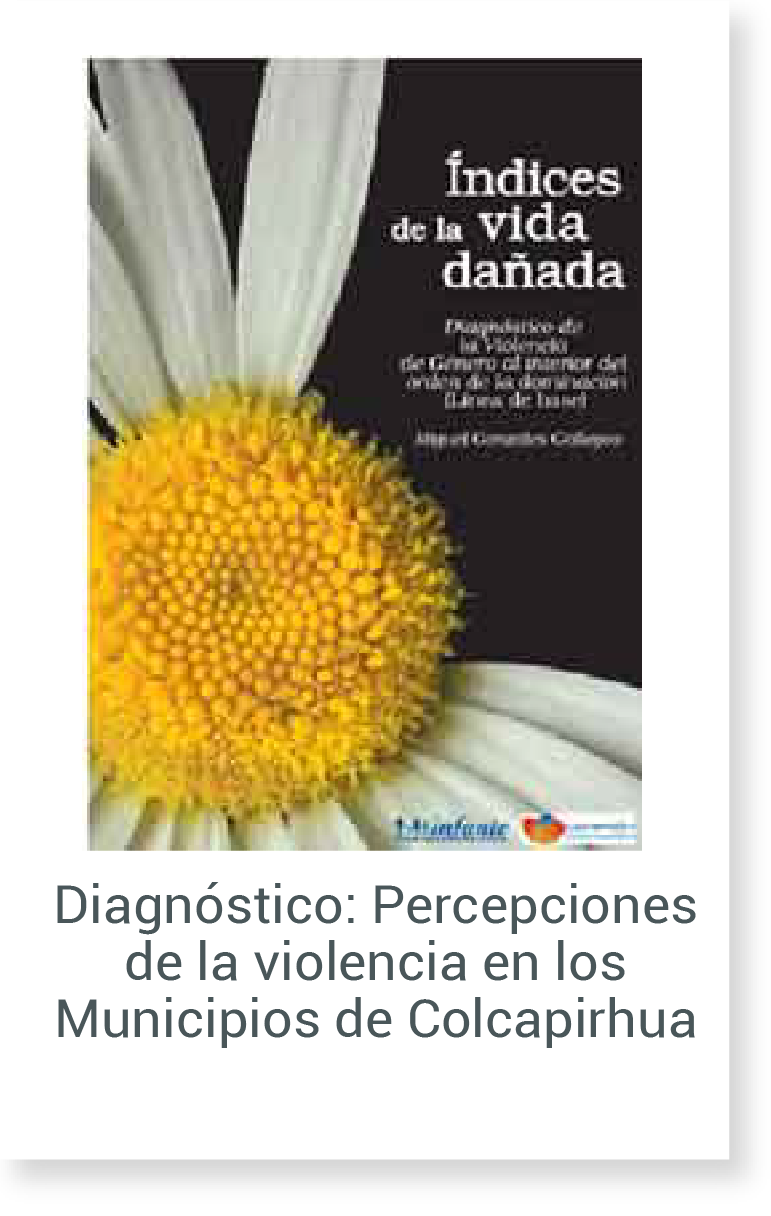 Diagnóstico: Percepciones de la violencia en municipios