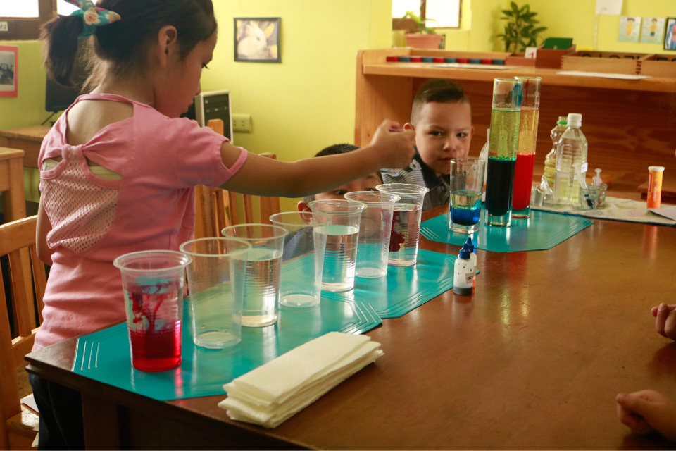 Galería 10 - Unidad Educativa Montessori